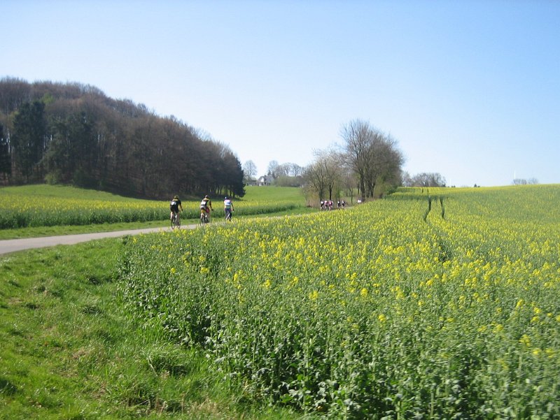 Bild 144